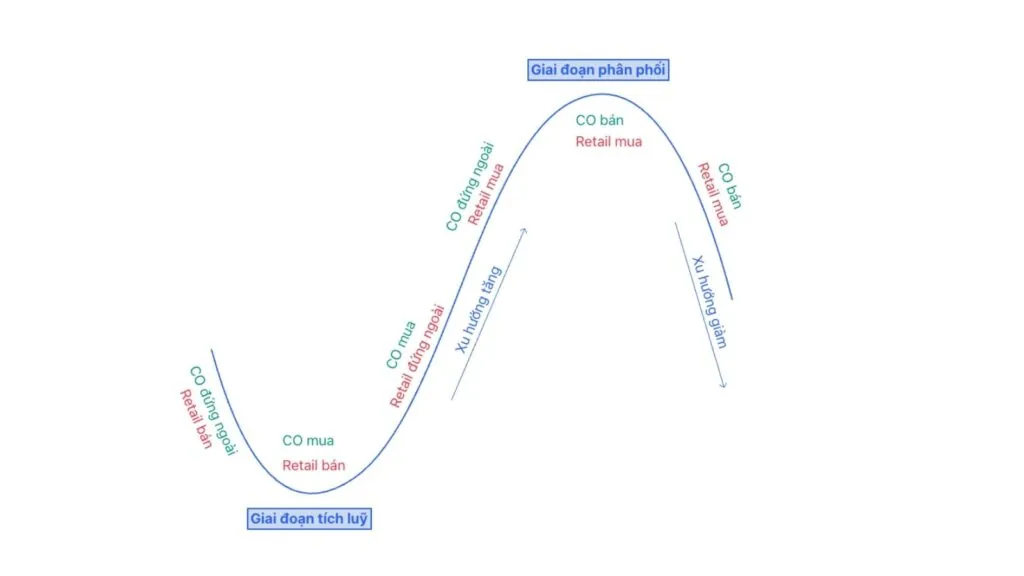The market price cycle