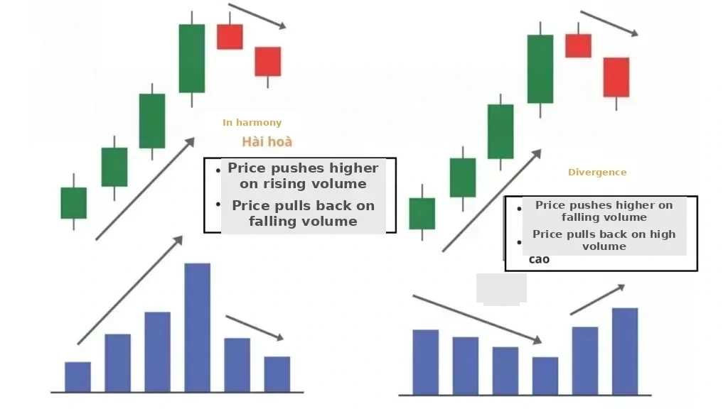 The Law of Effort versus Result in price movement