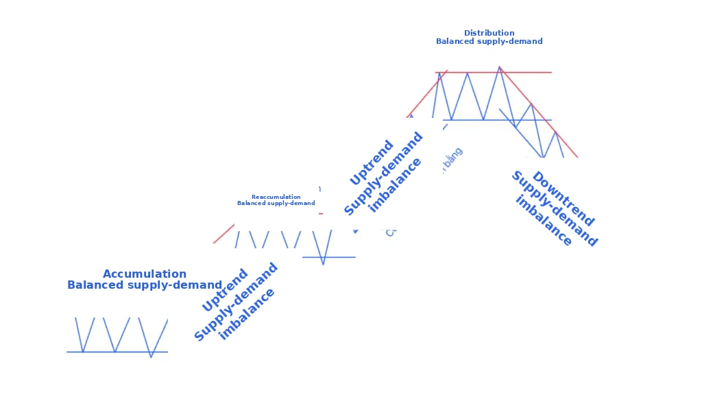 How the distribution phase is formed
